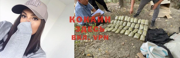 альфа пвп Богородицк