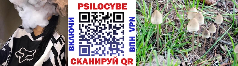 Галлюциногенные грибы ЛСД  Купить закладки  Гай 