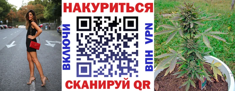 Купить где Гай Бошки Шишки план